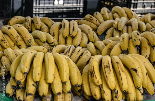 With high inflation, food goes up in price. Bananas on a counter being sold at an outdoor fair at the local market in the city of Juiz de Fora, Minas Gerais, Brazil, South America.