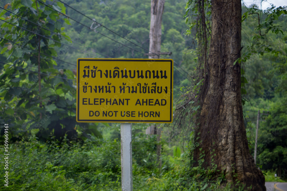 in Thailand