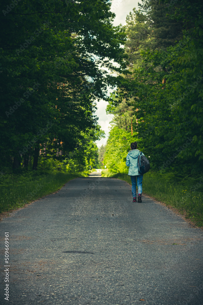 Walk in the woods Walk in the woods