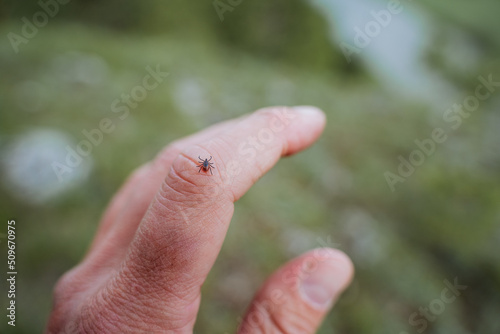 Fotografía A small tick with a red body crawls on the skin on the arm, an encephalitis carrier of the disease in the forest, a tourist picked up a tick on a walk, a hand in danger from an insect