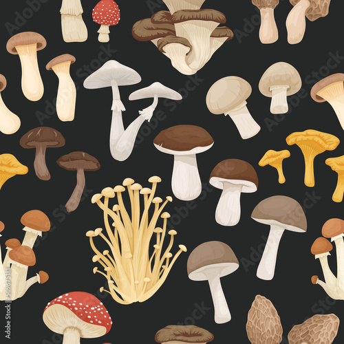 Vector Seamless Patern with Edible, Poisonous Inedible Mushrooms. Hand Drawn Cartoon Mushrooms. Different Mushrooms on Black. Fly Agaric, Champignon, Death Cap, Shiitake, Enoki, King Trumpet