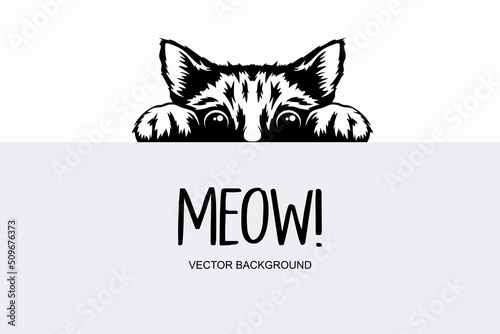 Vector Monochrome Hand Drawm Black, White Hiding Peeking Kitten. Kitten Head with Paws Up Peeking Over Blank White Placard, Poster, Card, Banner. Pet Kitten Curiously Peeking Behind White Background
