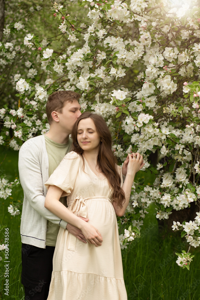 beautiful pregnant woman walks in a blooming garden.husband hugging pregnant wife beautiful pregnant woman walks in a blooming garden.husband hugging pregnant wife