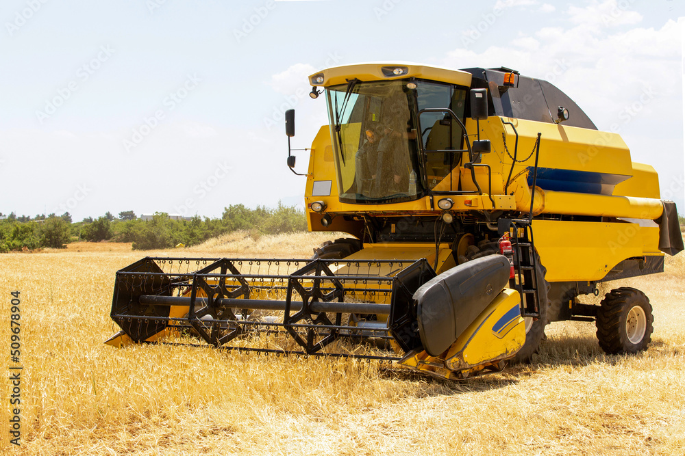Obraz premium Combine harvester harvesting barley fields