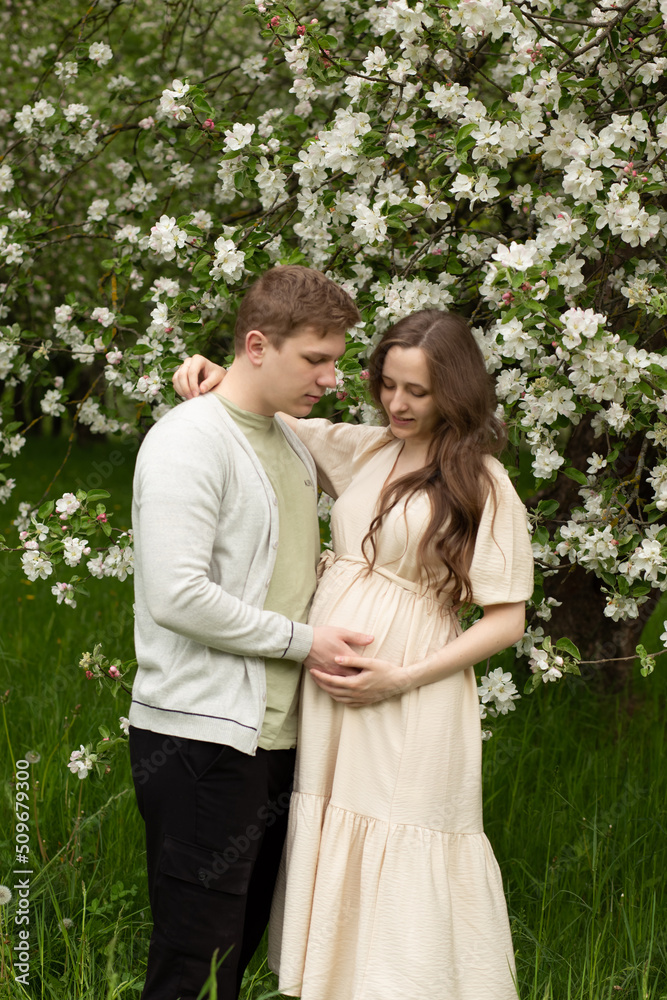 beautiful pregnant woman walks in a blooming garden. husband hugging pregnant wife beautiful pregnant woman walks in a blooming garden. husband hugging pregnant wife