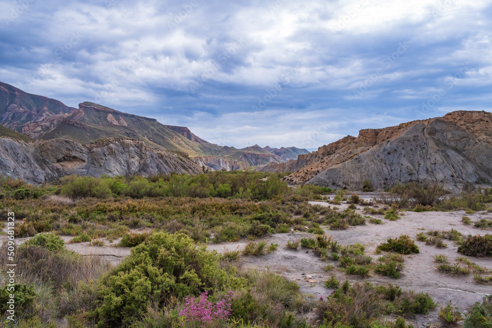 Tabernas Desert (Almeria, Spain)