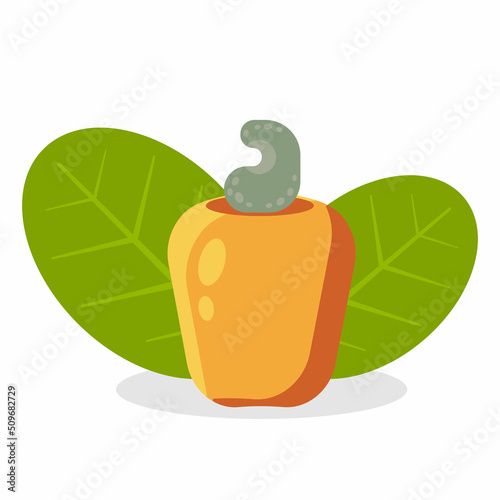 Exotic cashew fruit isolated on white background. Flat design illustration.