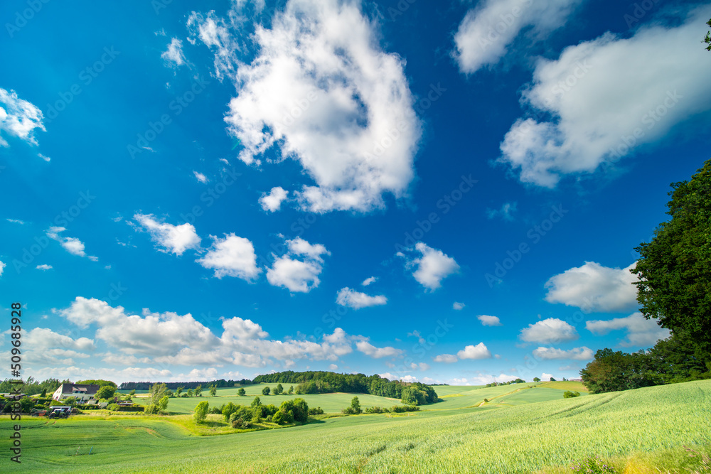 panorama of a green summer field on a sunny day and clouds on blue sky