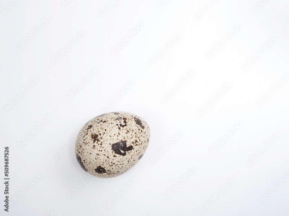 One quail egg with a lot of imperfect dark spots on a smooth, ideal oval surface of a healthy non cholesterol bio product. One quail egg with a lot of imperfect dark spots on a smooth, ideal oval surface of a healthy non cholesterol bio product.