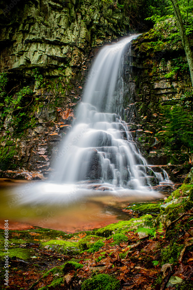 Obraz premium Gentry Creek Falls