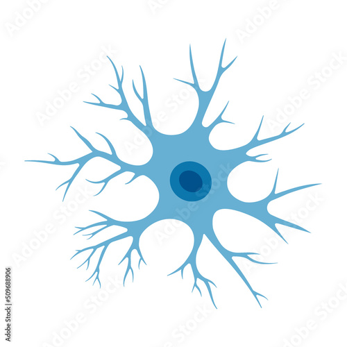 Human neuron cell illustration. Brain neuron structure. Cell body, nucleus, axon and dendrites scheme. Neurology illustration photo