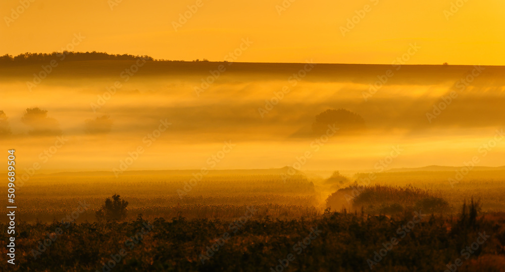 Scenic landscape view in fog during sunrise, beautiful peaceful time of the day.