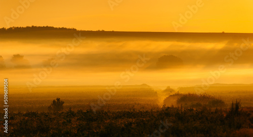Scenic landscape view in fog during sunrise, beautiful peaceful time of the day.