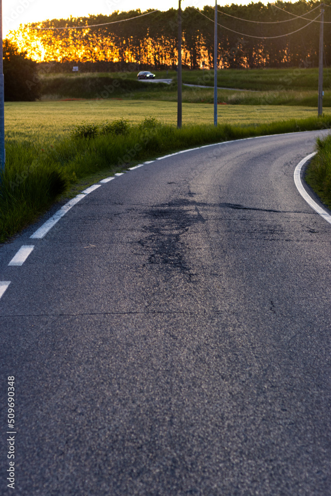Fototapeta premium Rural road in barley cereal crop field in spring