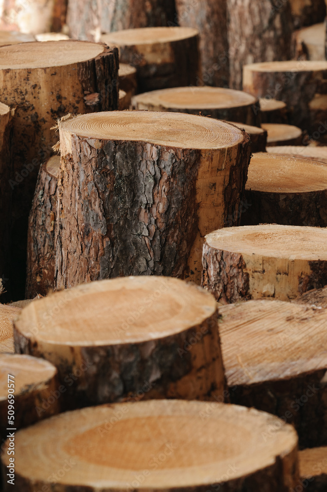 Pine logs close up. Vertical image. Selective focus, natural light Pine logs close up. Vertical image. Selective focus, natural light