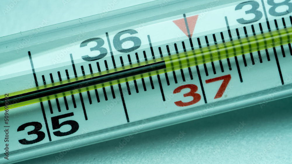 thermometer scale shows 36.6 degrees thermometer scale shows 36.6 degrees