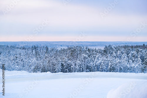 Landscape snowy winter forest. Panoramic view of frost-covered trees in snow drifts.