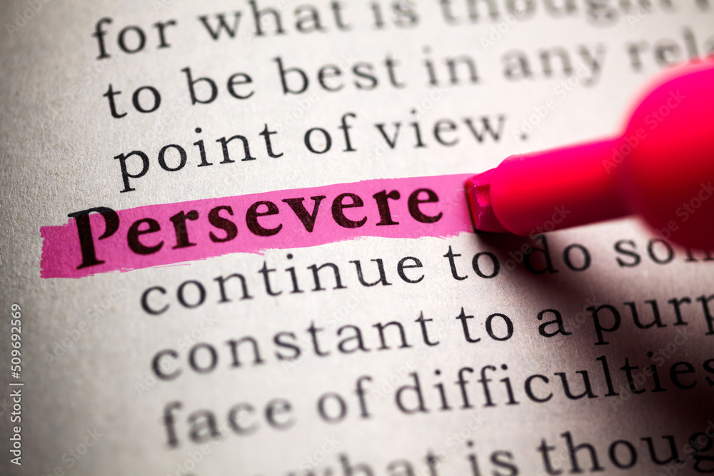 Fake Dictionary, Dictionary definition of persevere Fake Dictionary, Dictionary definition of persevere