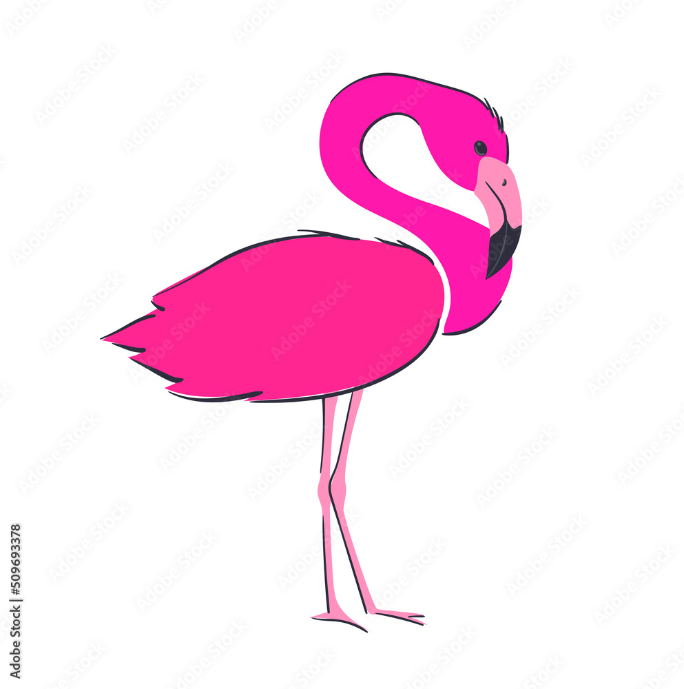Flamingos are pink. Bright bird in cartoon style. Vector illustration isolated on white background Flamingos are pink. Bright bird in cartoon style. Vector illustration isolated on white background