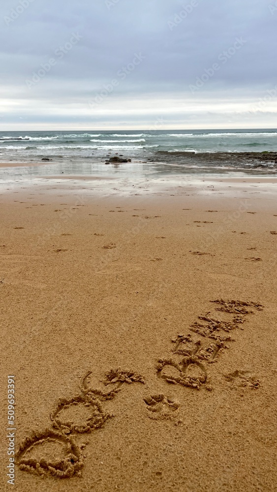 Vertical sea dress with the phrase dog beach written in the sand of the beach with dog prints. Dogs are allowed on the beach. Pet friendly beaches. Vertical sea dress with the phrase dog beach written in the sand of the beach with dog prints. Dogs are allowed on the beach. Pet friendly beaches.