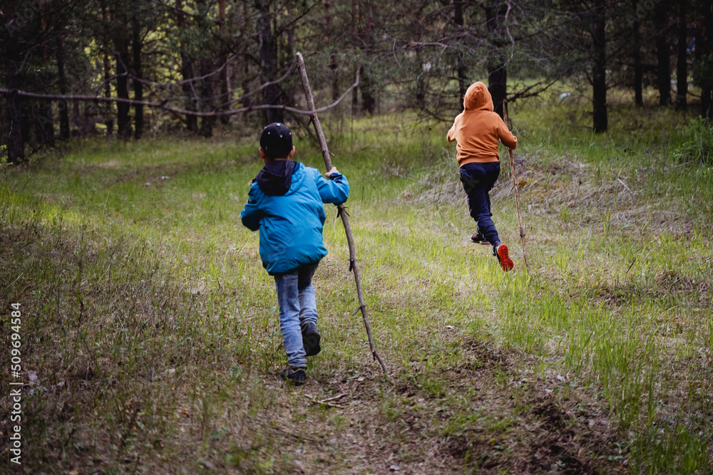 Boys run through the forest jumping with sticks in their hands, two friends playing in nature, hiking in the woods for mushrooms. Boys run through the forest jumping with sticks in their hands, two friends playing in nature, hiking in the woods for mushrooms.