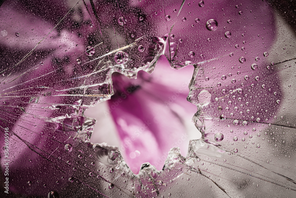 Wassertropfen