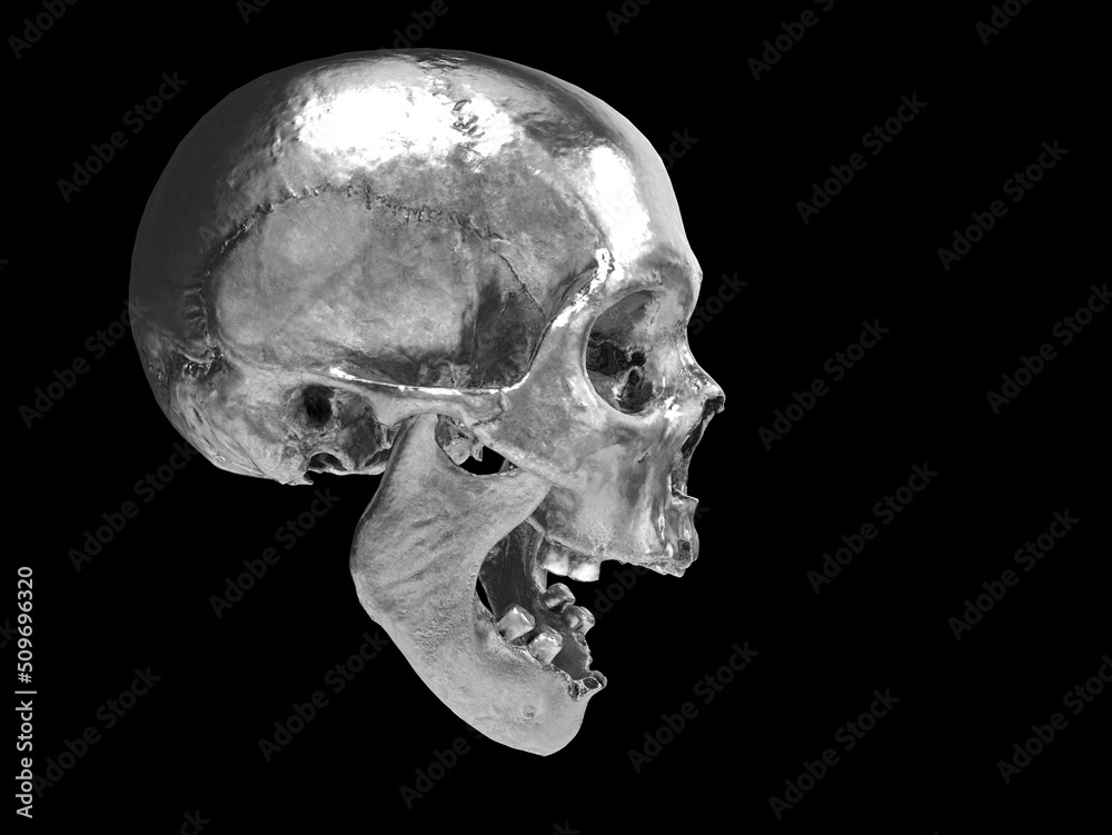 Screaming chrome skull with missing teeth - side view Screaming chrome skull with missing teeth - side view