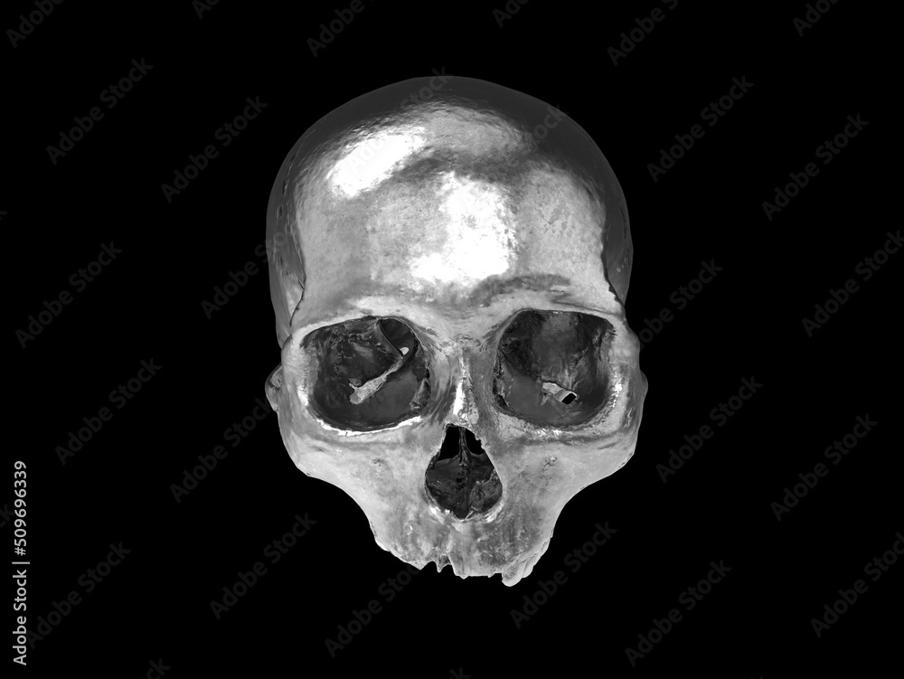 Shiny bumpy chrome skull with no lower jaw - front view Shiny bumpy chrome skull with no lower jaw - front view