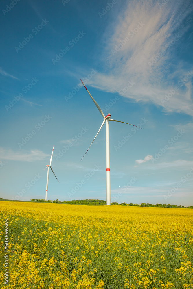 nature environment wind energy industry nature environment wind energy industry