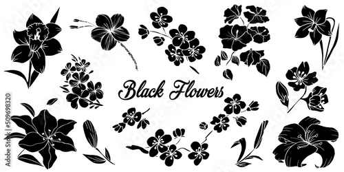Black silhouettes of flowers. Hand drawn set of design elements isolated on white background.