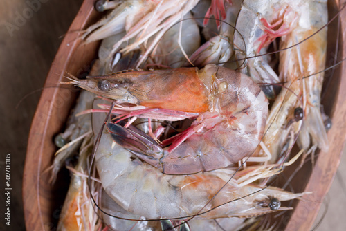 Fresh Caught Louisiana Gulf Shrimp