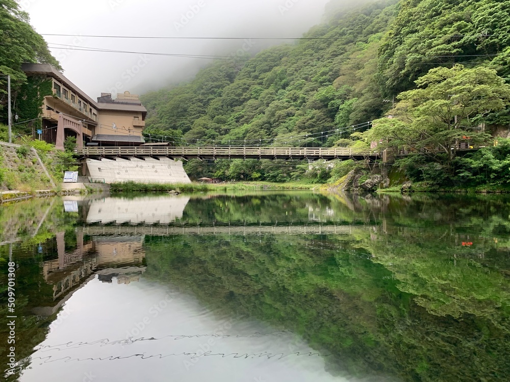 Fototapeta premium garden bridge