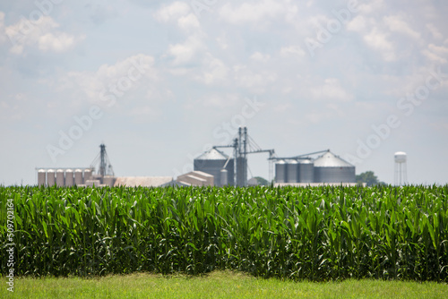 Silos in Louisiana behind a Corn Field