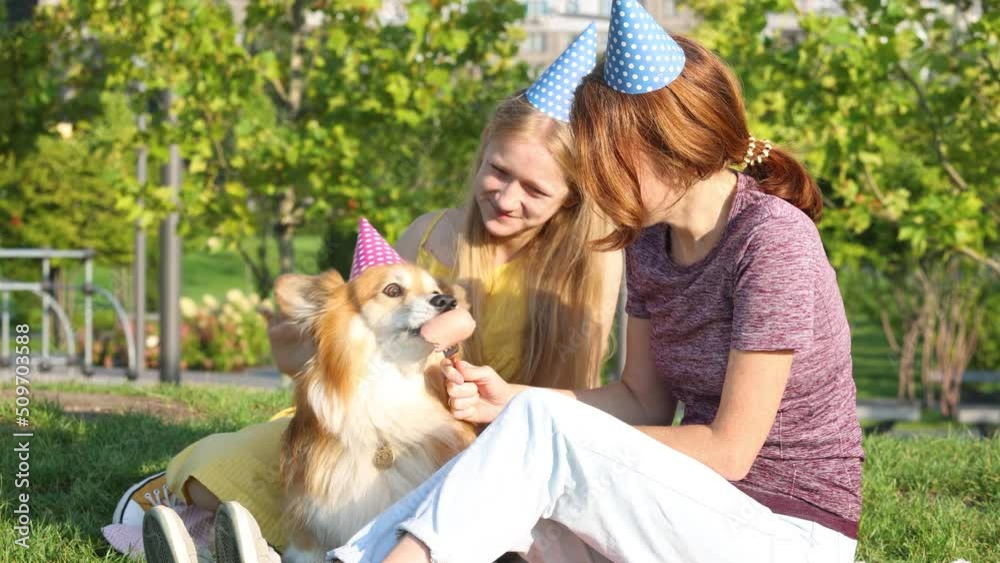 corgi dog birthday party corgi dog birthday party