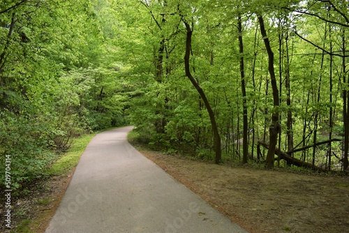 road in the forest