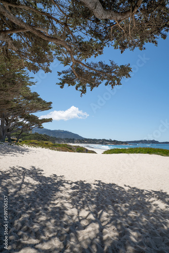 Beach view at Carmel by the Sea, Monterey, California