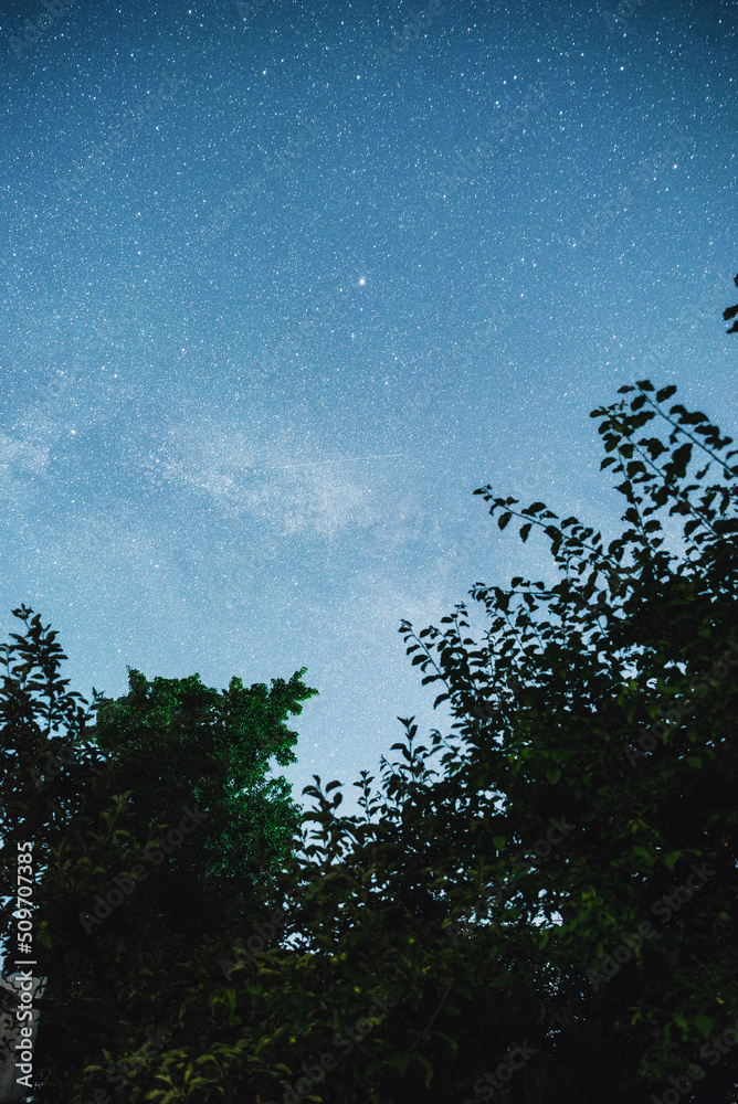 Night starry sky summer outdoors in Ukraine. Night starry sky summer outdoors in Ukraine.