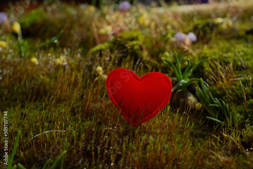 The heart on the moss is red. Against the backdrop of nature