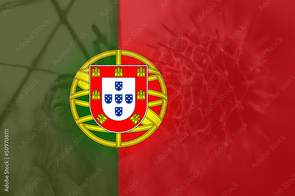 Naklejka premium Monkeypox virus. Portugal flag background. Epidemic concept. Virus transmitted to humans from animals. Monkeys may harbor virus and infect people. New pandemic. Pox. Pain. Warning. Molecular Epidemic