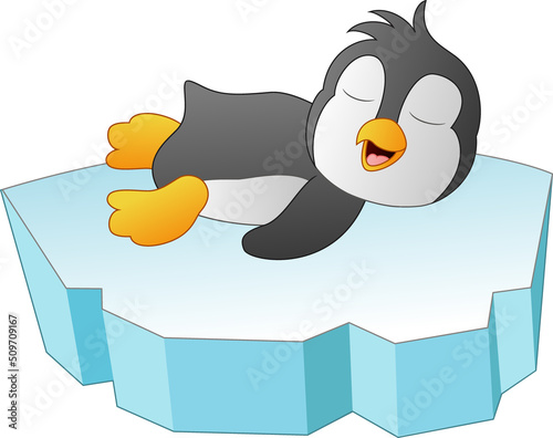 Cute baby penguin sleep on ice floe