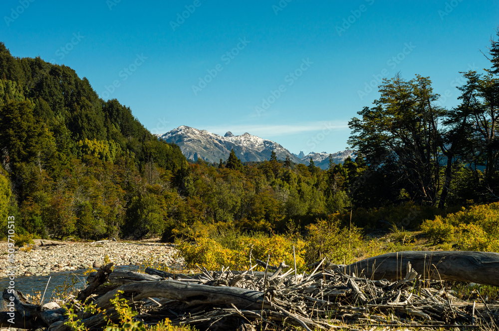 Fallen tree trunks on the banks of a river in a beautiful meadow with snowy mountains in the background. Los Alerces National Park