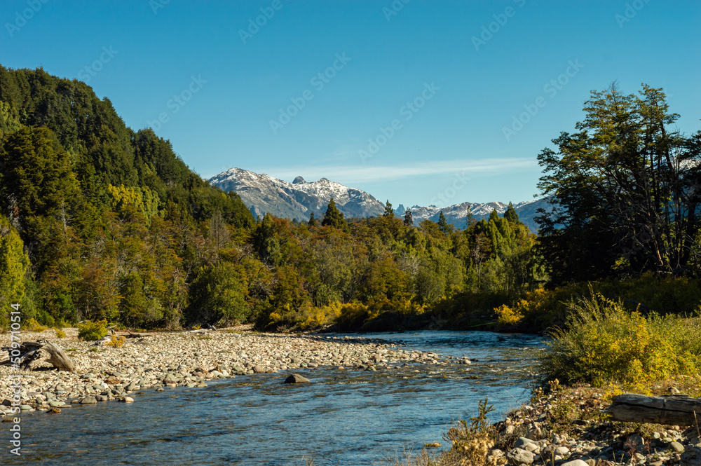 River generated by mountain melting in a beautiful meadow. Los Alerces National Park