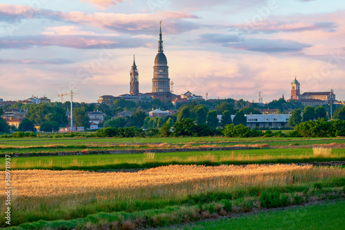 Early summer sunrise Antonelli Dome skyline of the city of Novara (Piedmont, Northern Italy), taken from its paddy fields; with Vercelli and Pavia they form the so-called rice producers triangle.