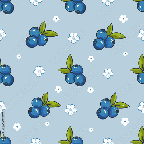 blueberry illustration cartoon