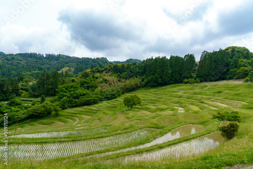 大山千枚田 鴨川