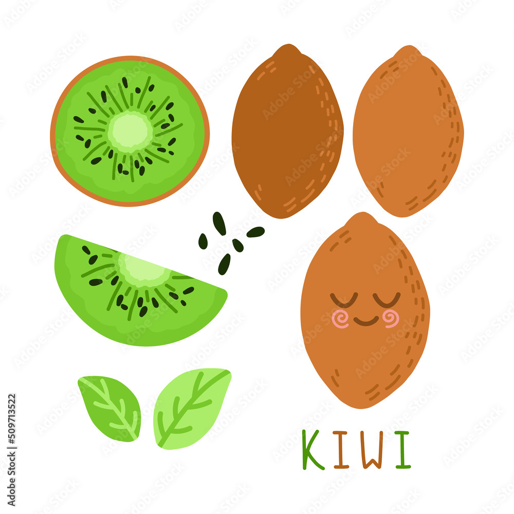 Set of fruits. Summer fruit collection. Fruits kiwi. Vegetarian and ecology food. Vector illustration Set of fruits. Summer fruit collection. Fruits kiwi. Vegetarian and ecology food. Vector illustration