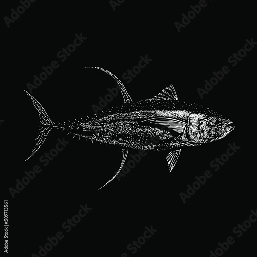 Foto Yellowfin Tuna hand drawing vector illustration isolated on black background