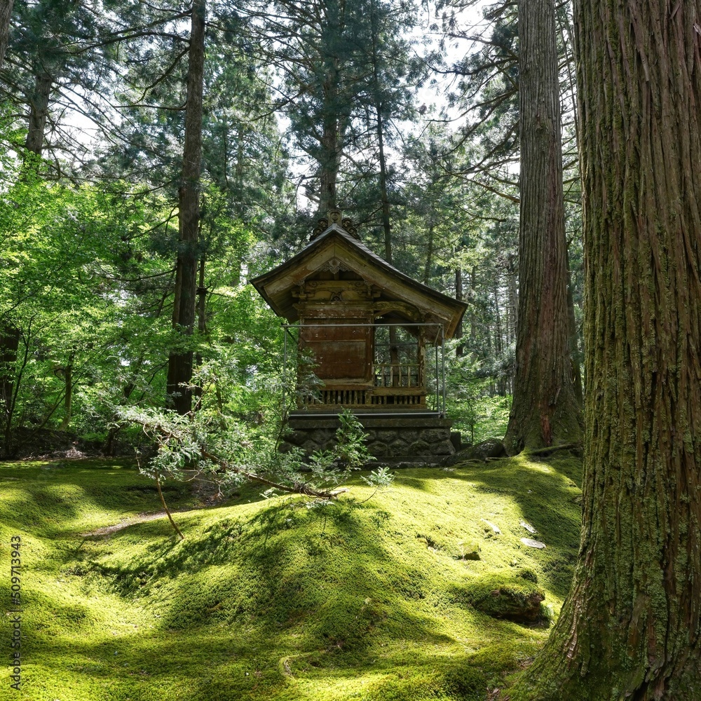 苔むした境内の中にひっそりと佇む古い小さなお堂の情景＠福井