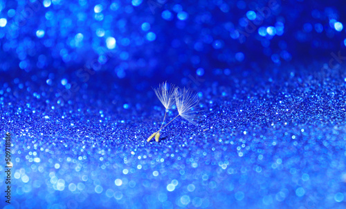 Two fluff umbrellas on blue background with bokeh effect.