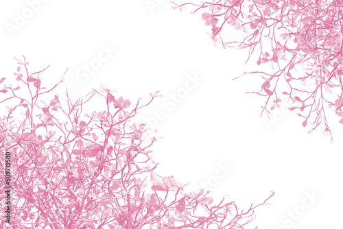 Pink leaves isolated on white background